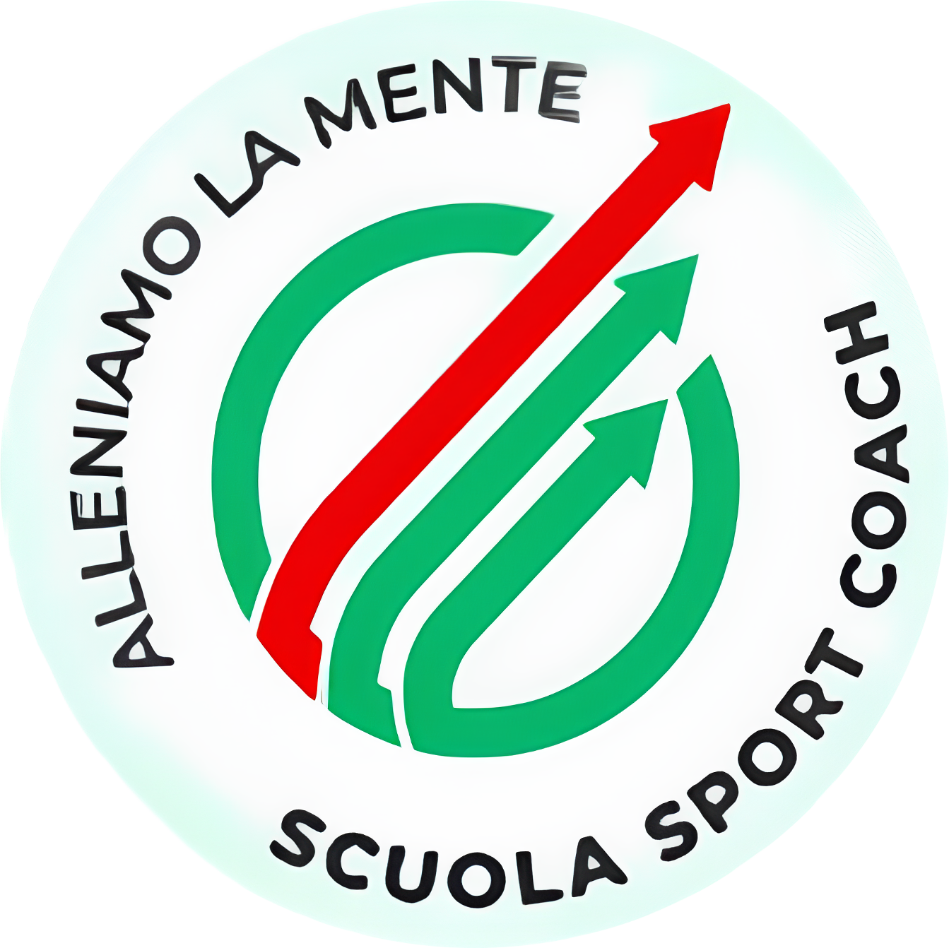 Stemma 3